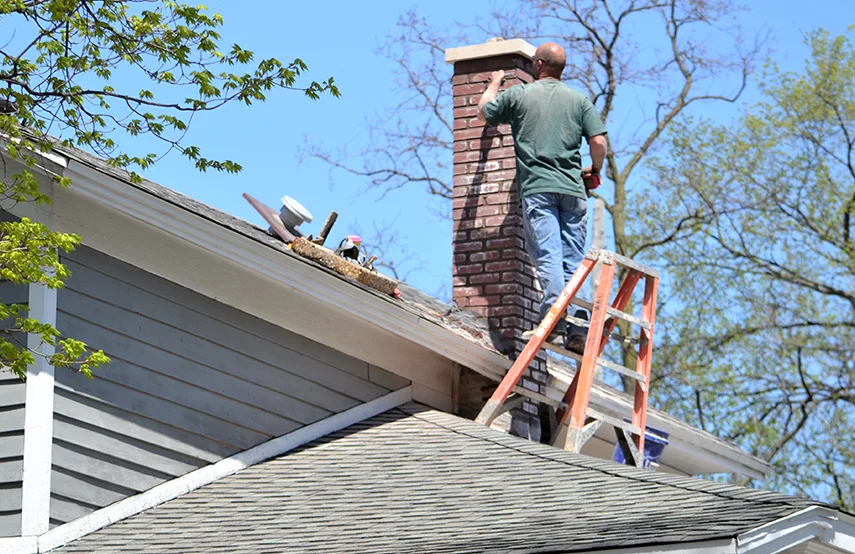 Chimney & Fireplace Inspections Services in Federal Way, WA